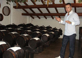 Aceto balsamico tours