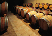 Wine tours Italy
