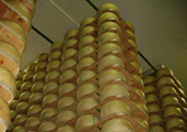 Parmiggiano Reggiano tours - Parmesan tours